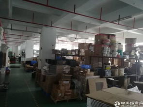 福永凤凰精品厂房招租 900平方米优质空间，清洗刷行业优选