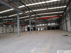 抢占先机！广州新塘全新高台厂房火爆招租，打造专业清洗刷生产新高地